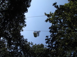 SX24252 Cable cart through trees in Floriade.jpg